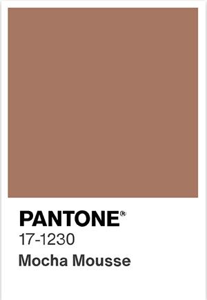 pantone 2025 ico.jpg